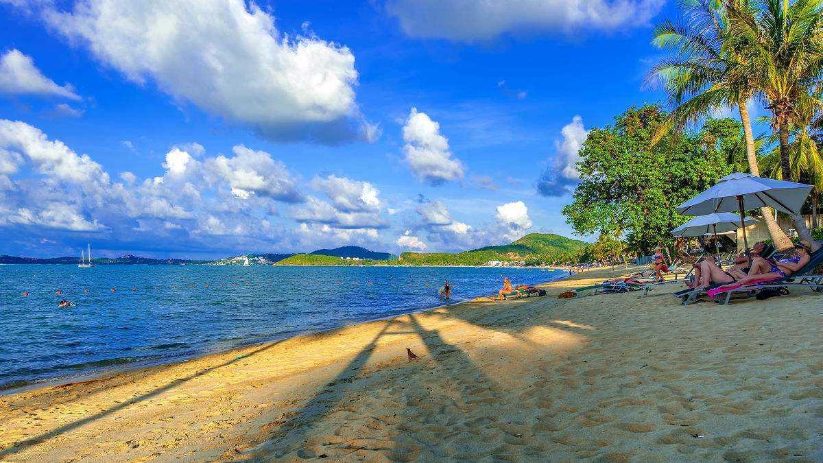 失忆的流浪者